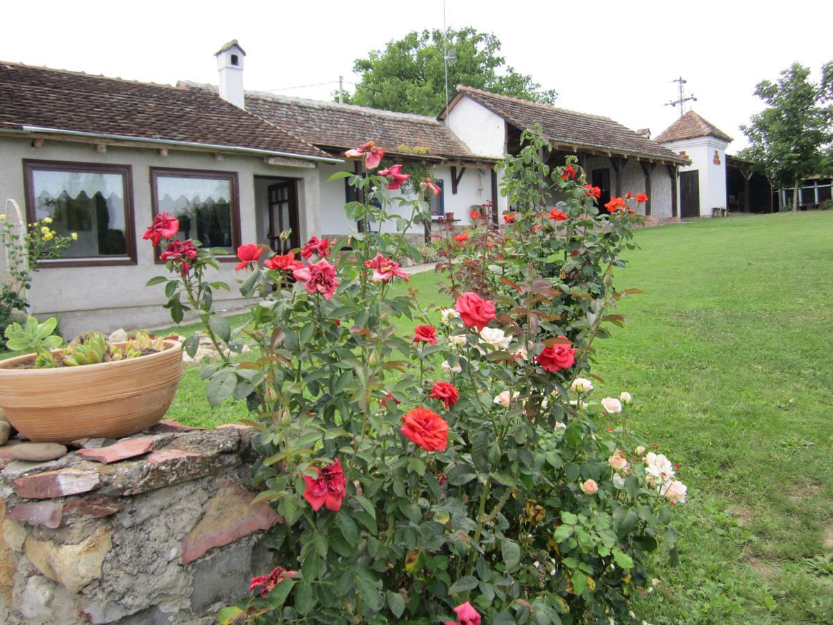 Guest House Vila Albedo Varna 외부 사진